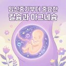 디케이(D.K)팜 | 임신중기영양제 임산부 칼슘 마그네슘 추천, 섭취 이유 및 제품 추천까지(둘째맘이 알려드려요)