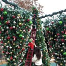 여주-0011 | 여주 크리스마스 트리 카페 하늘천따지 오르골 천국