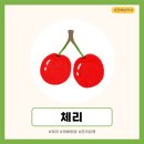 고려농약사 이미지