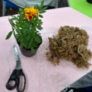 토현초등학교 이미지