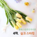 한울타리극단 "셀레스틴부인의 이혼" (4막.실크스타킹) 이미지