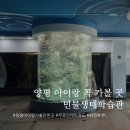 두루환경생태연구소 | 양평 아이랑 가볼 만한 곳｜무료 민물고기 생태학습관 후기