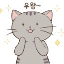 마켓라인 이미지