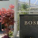 [강남] 보스켓(BOSKETT) | 언주역 테라스 와인바, 런치코스 후기, 점심 회식 추천