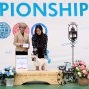 뉴 코리아 이미지