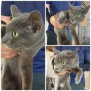 두곡서길 이미지