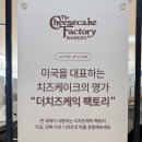 [잠실] 더 치즈케이크 팩토리 팝업 후기 | 미국 감성 오리지널 치즈케이크 드디어 먹어봄