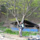 현동정류소 이미지