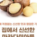 진솔식품