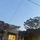 힐링타임 통기타 | 양주/의정부 대형 카페 [포어레스트] 숲속 디저트 맛집