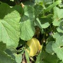 이천농장 이미지