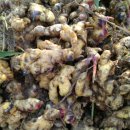 약산고을건강촌 이미지