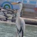 영진카센터 이미지