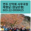 연두 산악회 제159차 해남 달마산 산행 안내(4/14) 이미지