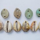 조개패거리 이미지