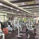 월드피아 헬스 이미지