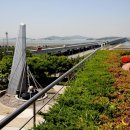 바다의형상 이미지