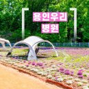 분당수요양병원 | 위암 수술 후 위절제식 덤핑증후군 현명한 대처법, 분당암요양병원