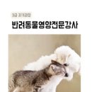 최수연펫푸드아카데미 네이버블로그