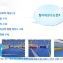 청마태권도장 이미지