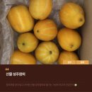 참외제철 산물 성주참외 후기｜성주참외가격 대비 최고 당도 과일선물 추천