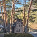 삼척활기자연휴양림 | 재방문 의사 100%, 힐링하기 좋았던 - " 삼척 활기 자연휴양림 - 구희당 " 솔직 후기