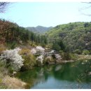 노치산촌생태마을 이미지