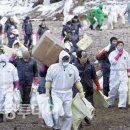 만리포해변 이미지