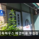 베리독 강아지 고양이 의정부점 | {부천, 강아지, 고양이, 애견미용, 추천!) 베리독하우스 애견미용 부천점 부천 베리독하우스, 맞춤 케어...