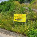 중앙 태양광발전소 이미지