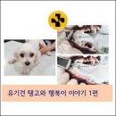 해운대플러스동물병원 이미지