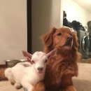 연부농장 이미지