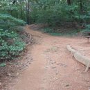 내곡동414 이미지