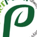 (원데이) 나만의 작은 숲, 테라리움 이미지