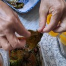 밥상머리 이미지