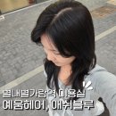 푸른미용실 | 별가람역미용실 애쉬블루 톤다운 염색 잘하는곳 예움헤어 클로리실장 후기