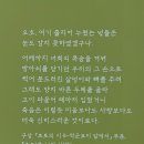 자민환경 | 서울시립미술관 서소문본관 &lt;서시: 별을 노래하는 마음으로&gt;에 다녀왔어요 서울전시회후기