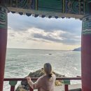 송정공원1(공원) | 부산 송정해수욕장, 송정공원) 부산 바다 가볼만한 곳 / 사진 찍기 좋은 장소 / 서핑하기 좋은 곳...