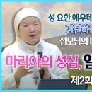하올디자인 이미지
