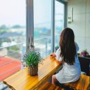 (주)난드르 | 제주도 한달살기 월세 제주 애견동반 숙소 후기