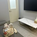 서울동물심장병원 이미지