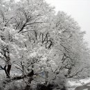 산하이불 이미지