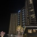 신라 | 강릉 신라모노그램 호텔 레지던스 숙박 후기