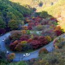 단양기사식당 | 25_11_1 단양 만천하 + 잔도길 + 고운 갈대밭 + 보발재 단풍 + 구인사 단풍