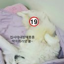 돌아온뚱이