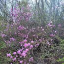 마동1리 이미지