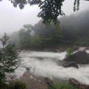 하대동303 이미지