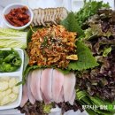 원조 시골밴댕이 이미지