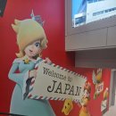 행복여행 | 3박4일 행복했던 도쿄 여행 후기
