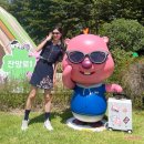 루피네 | 순천 잔망루피 팝업 국가정원, 찍는 족족 인생샷 터지는 후기
